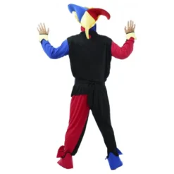 Hofnar Kostume