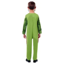 Hulken Børnekostume