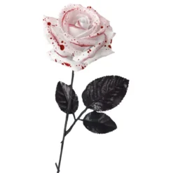 Hvid Rose med Blod