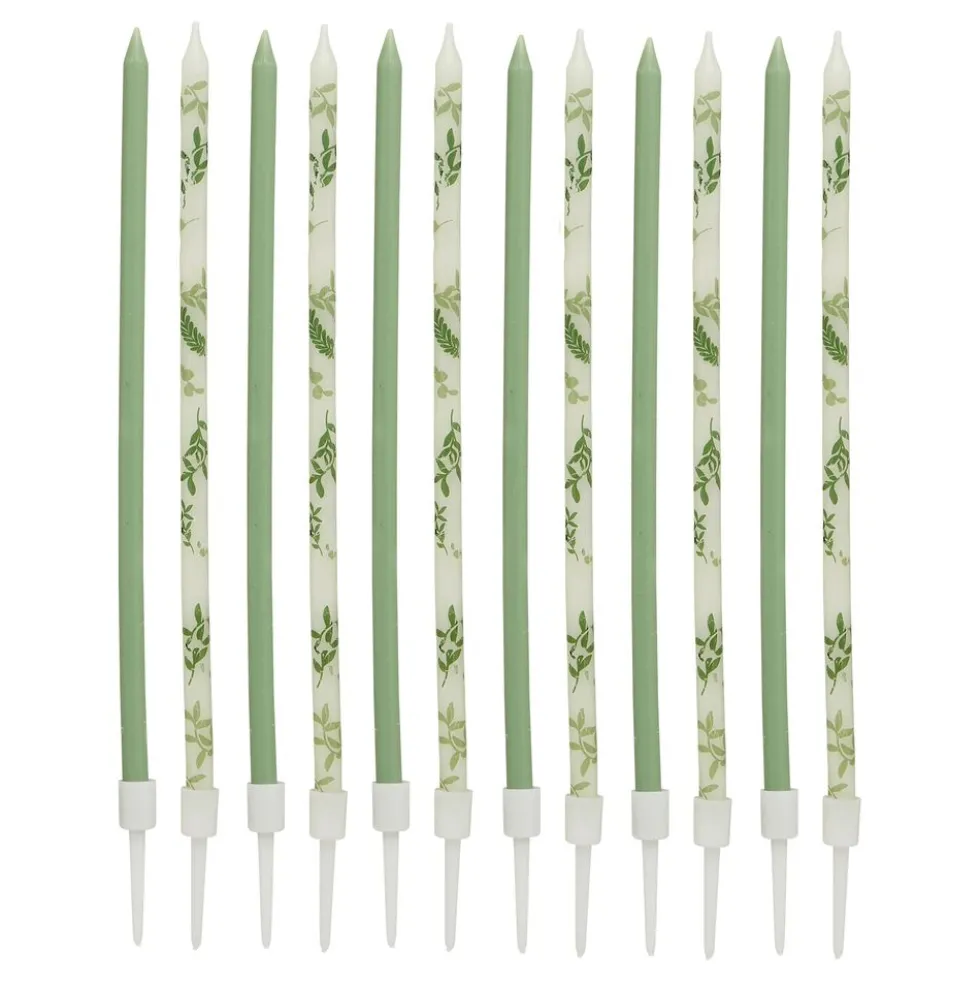 Kagelys Långa Grønne Blade Botanic