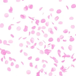 Kæmpeballon Gender Reveal