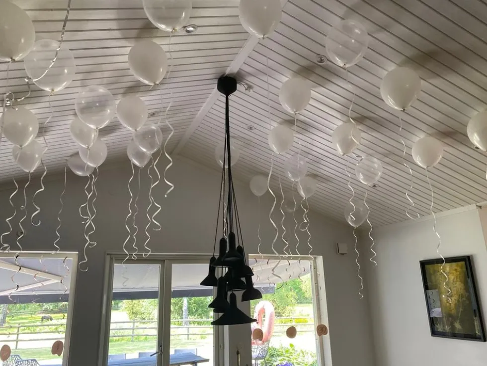 Loftballoner Hvid