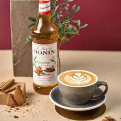 Monin Gingerbread Sirup