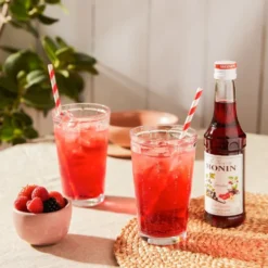 Monin Grenadine Sirup 25 cl