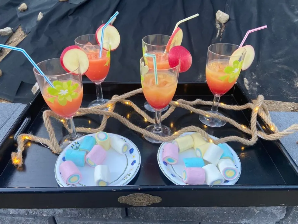 Monin Hyldeblomst Sirup