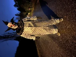 Morder Pierrot Kostume