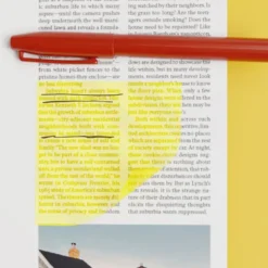 Mustard Emergency Sticky Notes