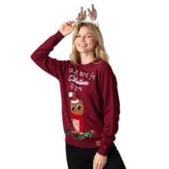 Owl I Want For Christmas Juletrøje