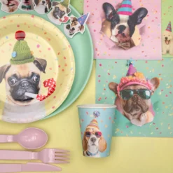Papkrus Party Hund