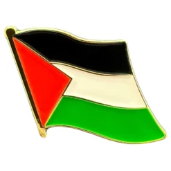 Pin Palæstinensisk Flag