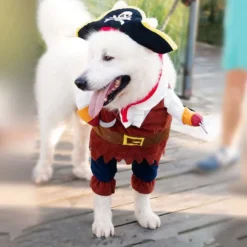 Pirat Kostume Kat/Hund