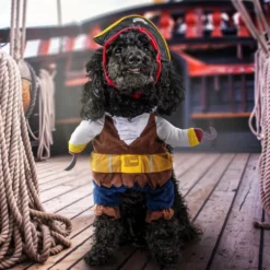 Pirat Kostume Kat/Hund