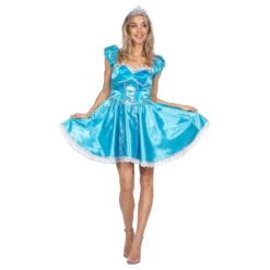Prinsessekjole Blå Kostume