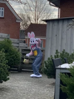 Påskehare Kostume