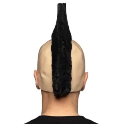 Punkparyk med Hanekam