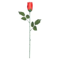 Rød Rose