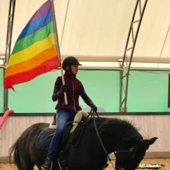 Regnbueflag