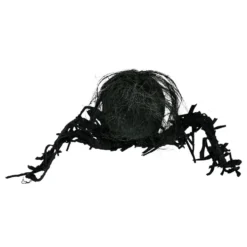 Skelet Edderkop Prop