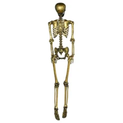 Skelet Guld Prop