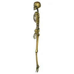 Skelet Guld Prop