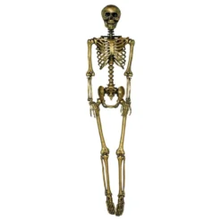 Skelet Guld Prop