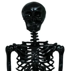 Skelet Sort Prop