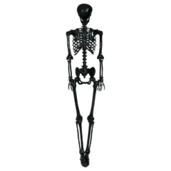 Skelet Sort Prop