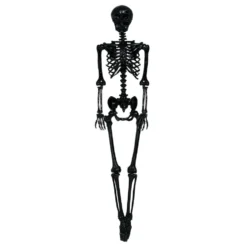 Skelet Sort Prop