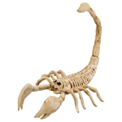 Skorpion Skelet Rekvisit