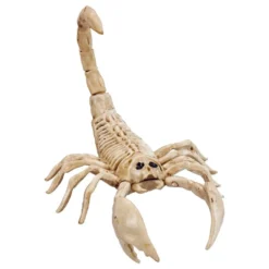 Skorpion Skelet Rekvisit