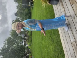 Sneprinsesse Kostume Budget