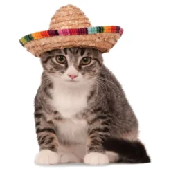 Sombrero til Kæledyr