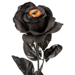 Sort Rose med Øje