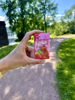 Söta Björnar Pastilæske Storpak
