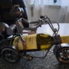 Vinflaskeholder Motorcykelfører