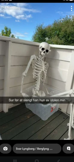 Virkelighedstro Skelet